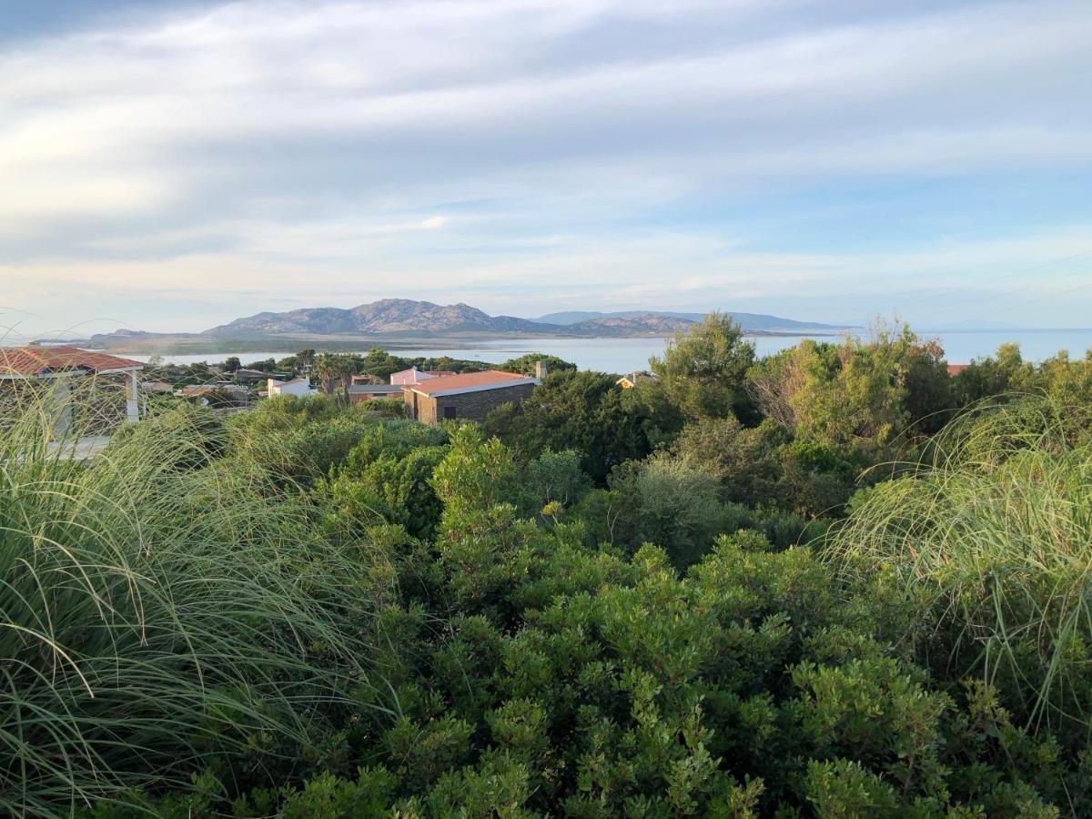 Amaremare B&B Stintino Eksteriør bilde